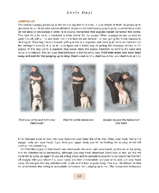 page53print.jpg